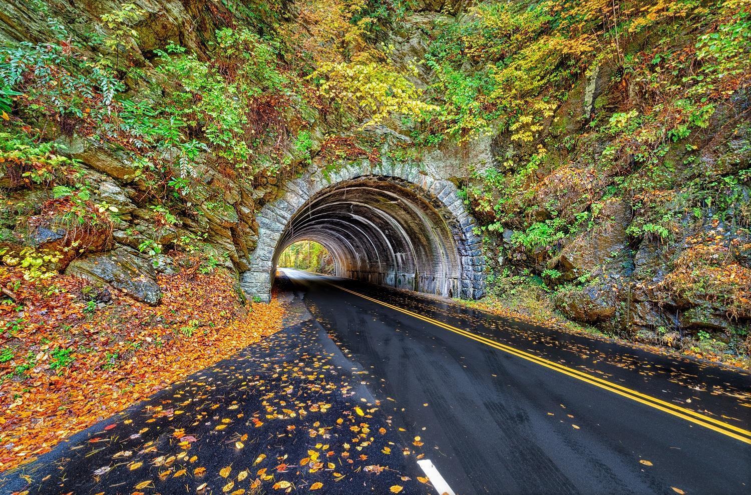 Time To Cuddle, Wifi, Near Pigeon Forge, 1089 Free Tickets Each Paid Day, Dollywood And More Luaran gambar