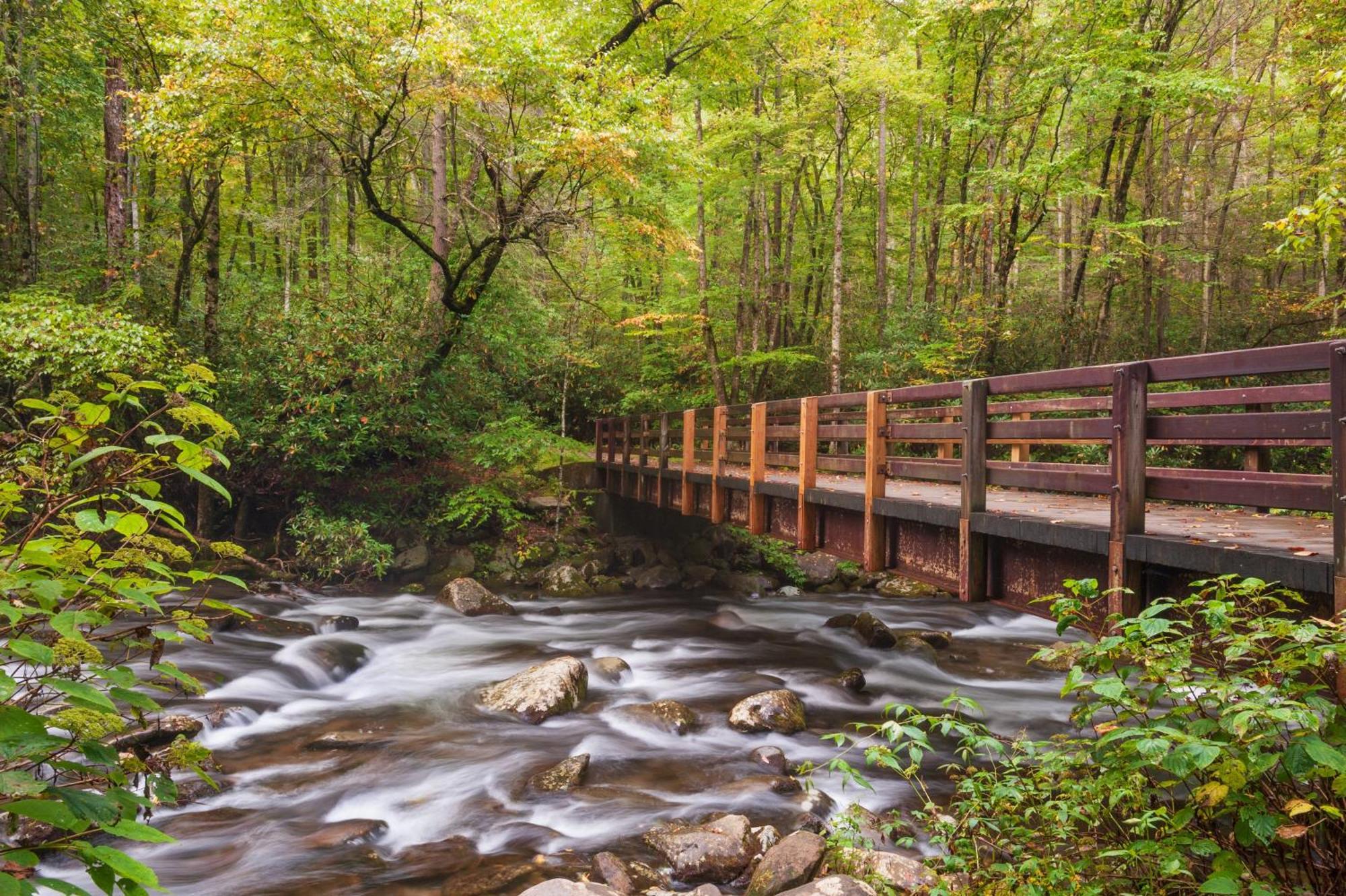 Time To Cuddle, Wifi, Near Pigeon Forge, 1089 Free Tickets Each Paid Day, Dollywood And More Luaran gambar