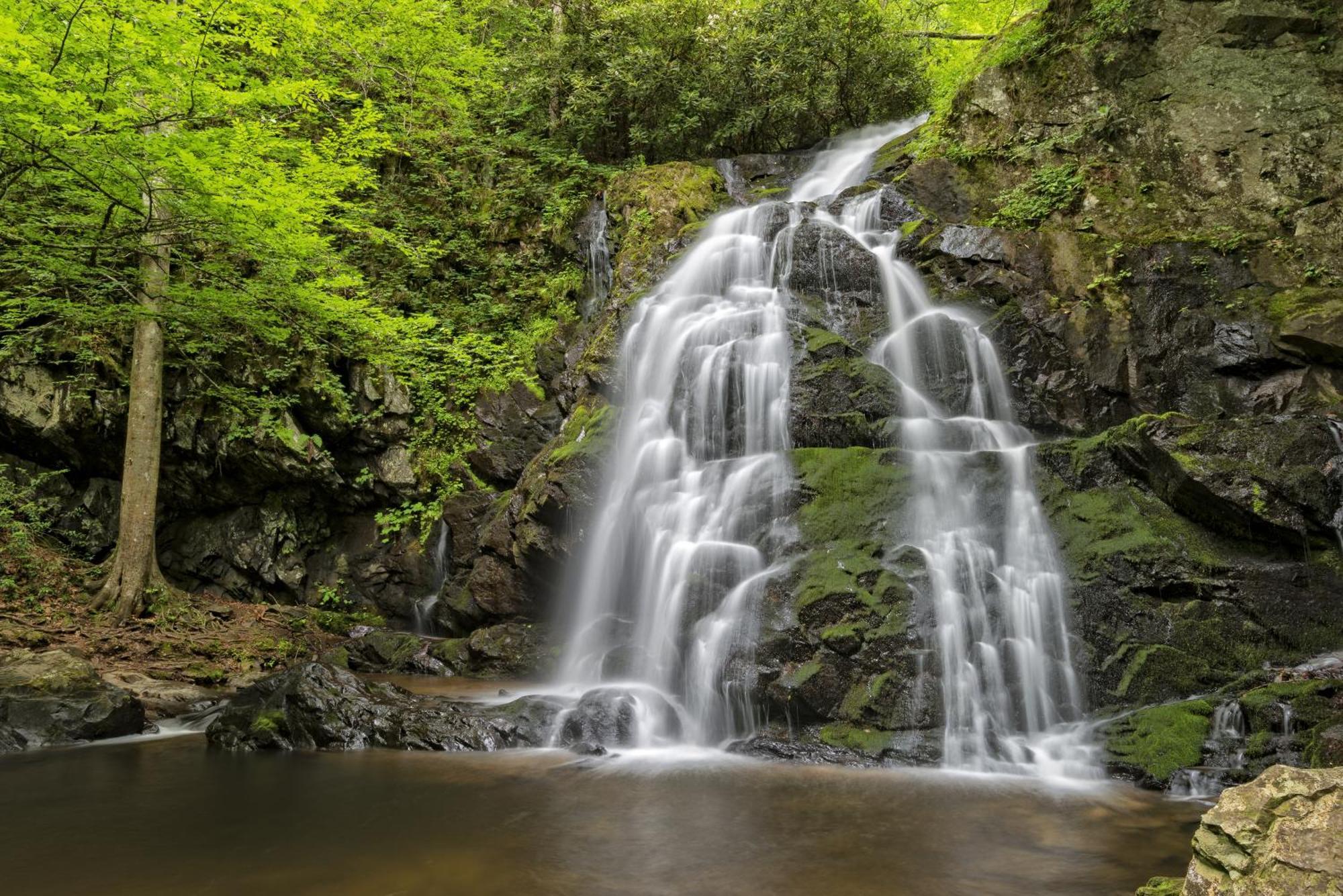 Time To Cuddle, Wifi, Near Pigeon Forge, 1089 Free Tickets Each Paid Day, Dollywood And More Luaran gambar